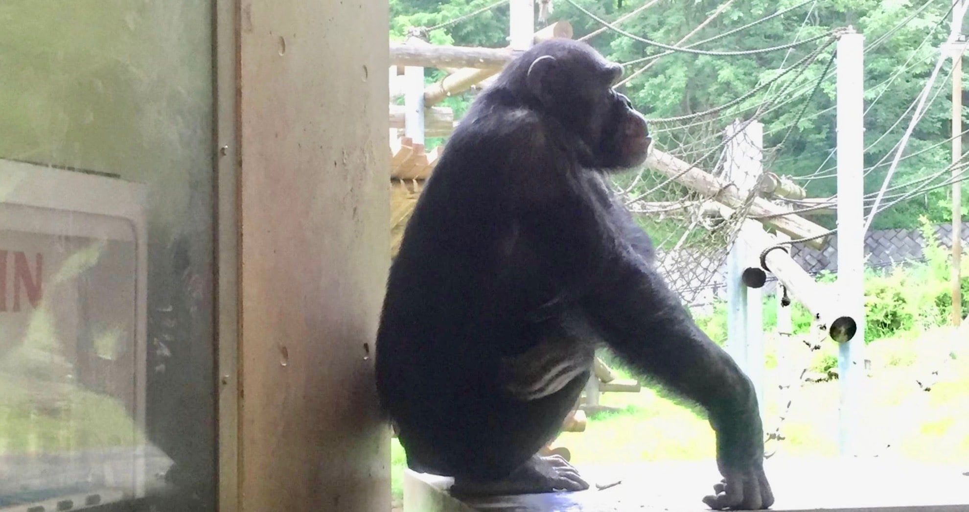 東武動物公園　割引